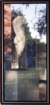 reflections_small.jpg
